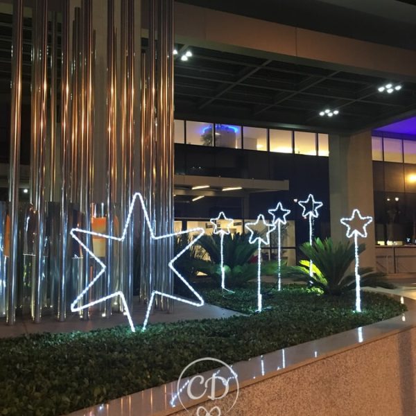 Hospital São Luiz São Caetano